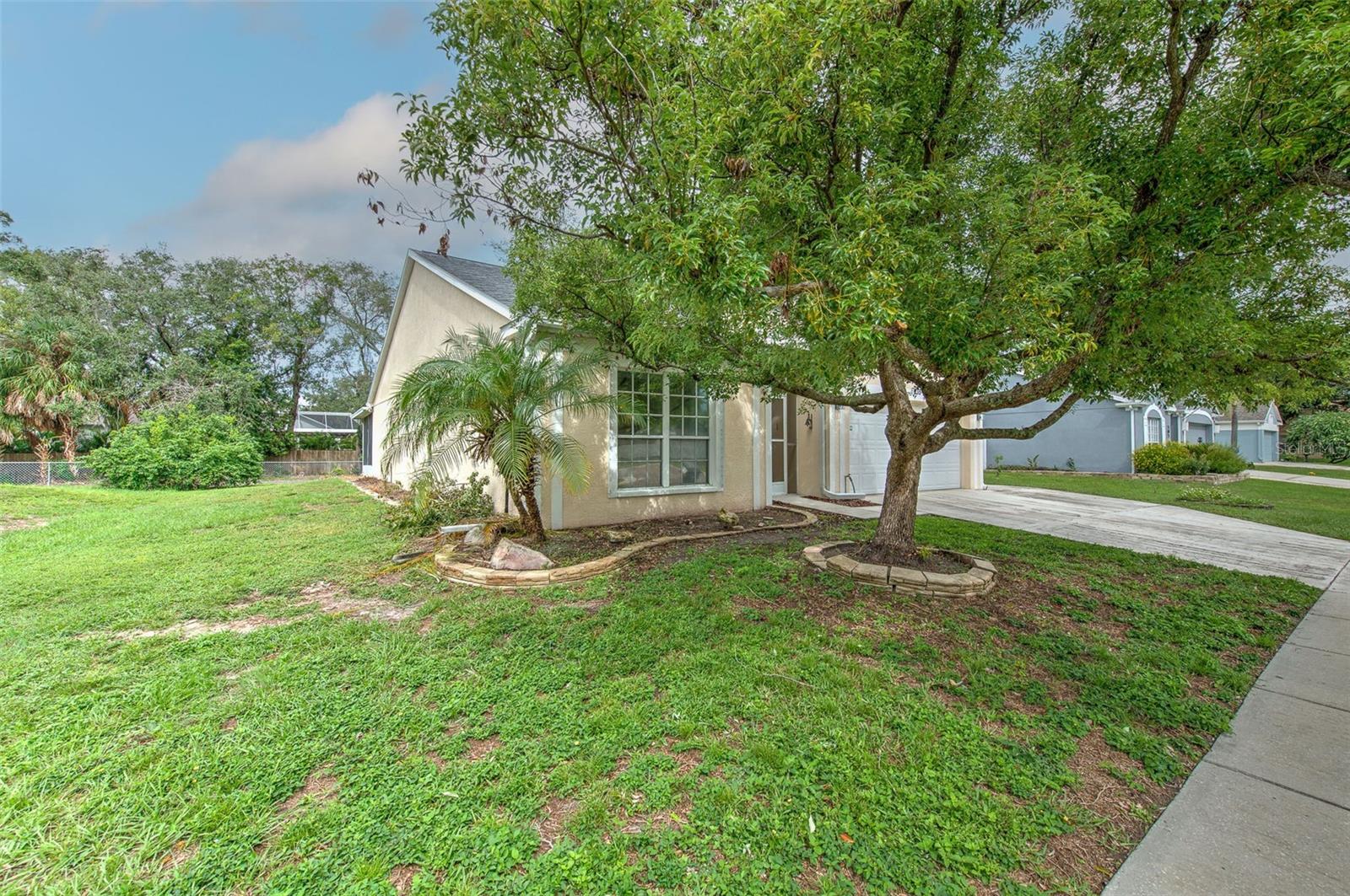 235 LAKEWAY LN