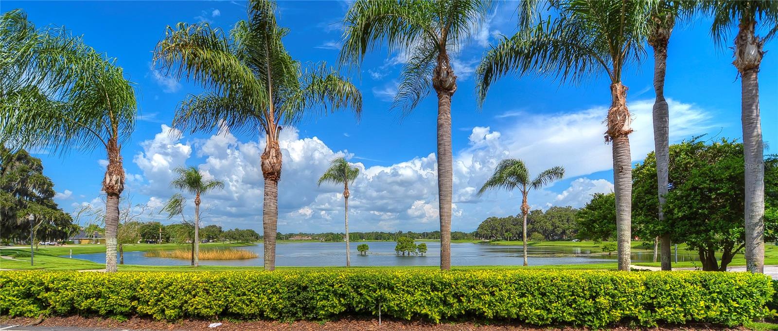5104 WHISPERING LEAF TRL