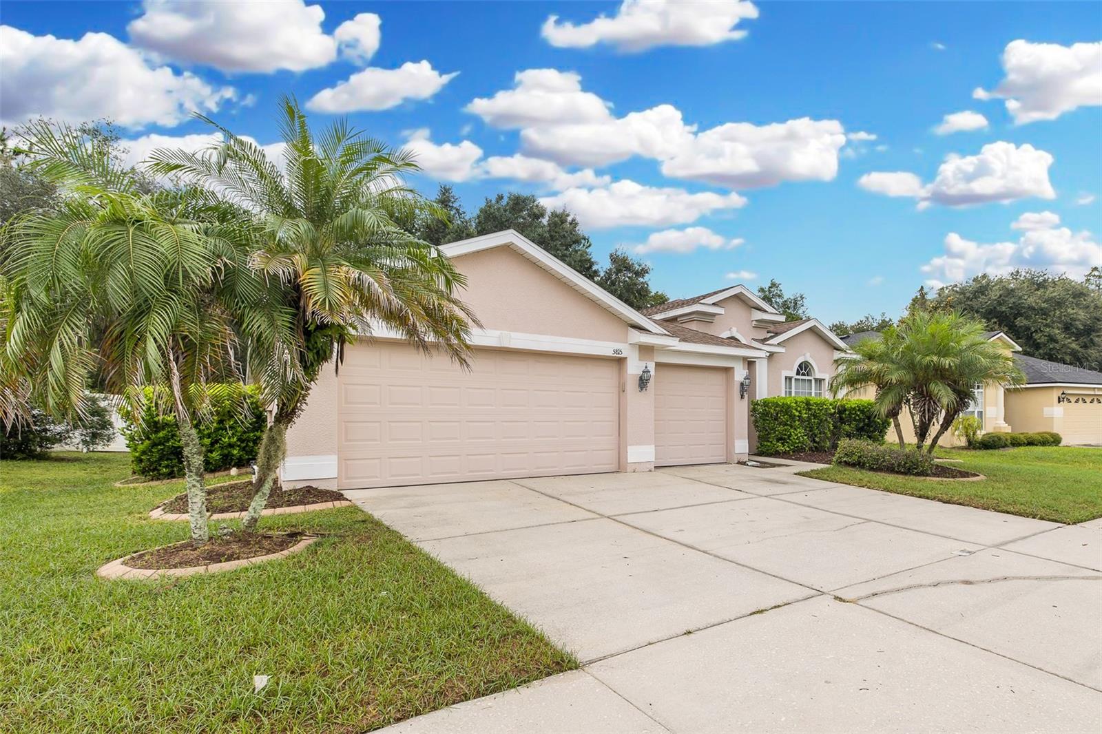 5815 JUSTICIA LOOP