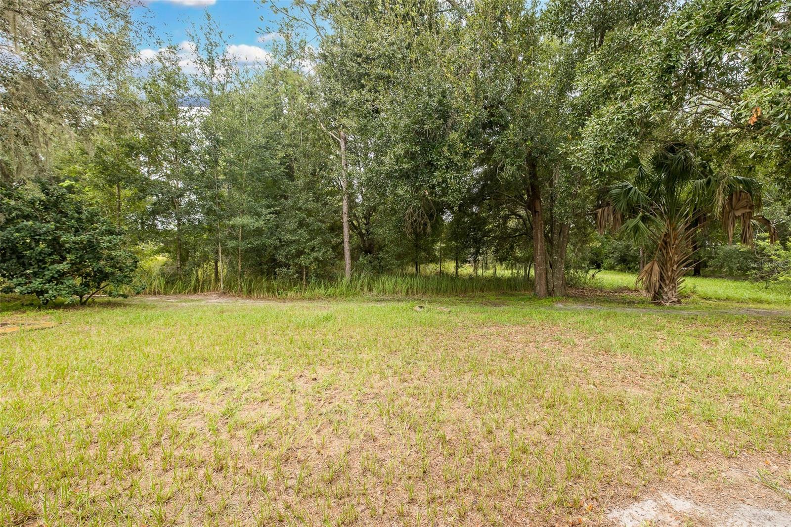 5815 JUSTICIA LOOP
