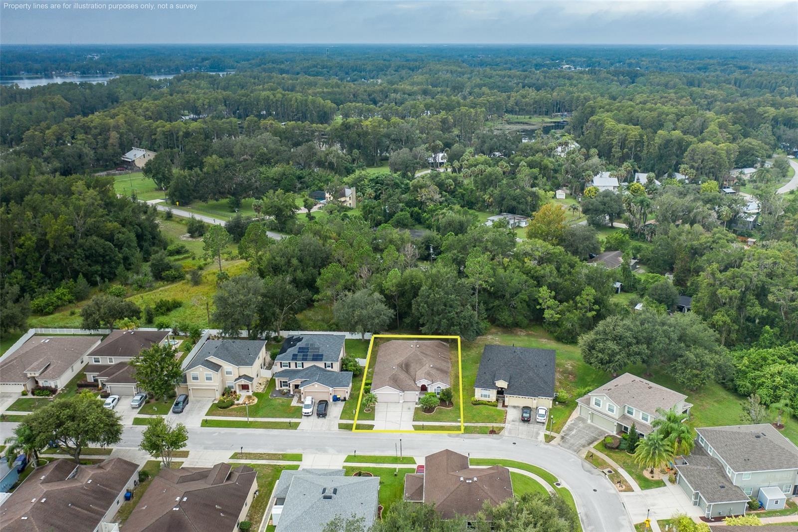 5815 JUSTICIA LOOP