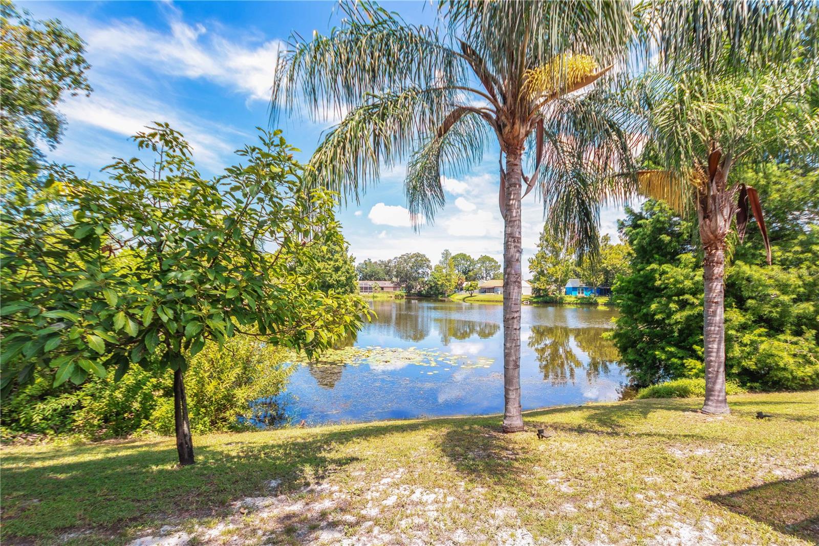 4311 COUNTY BREEZE DR