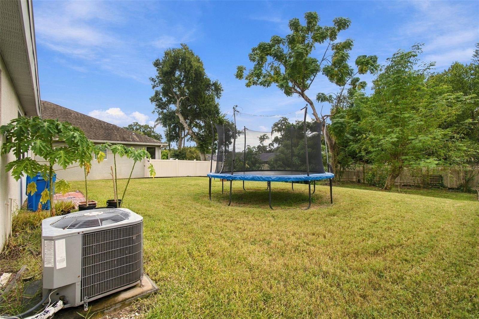 1015 TRACEY ANN LOOP