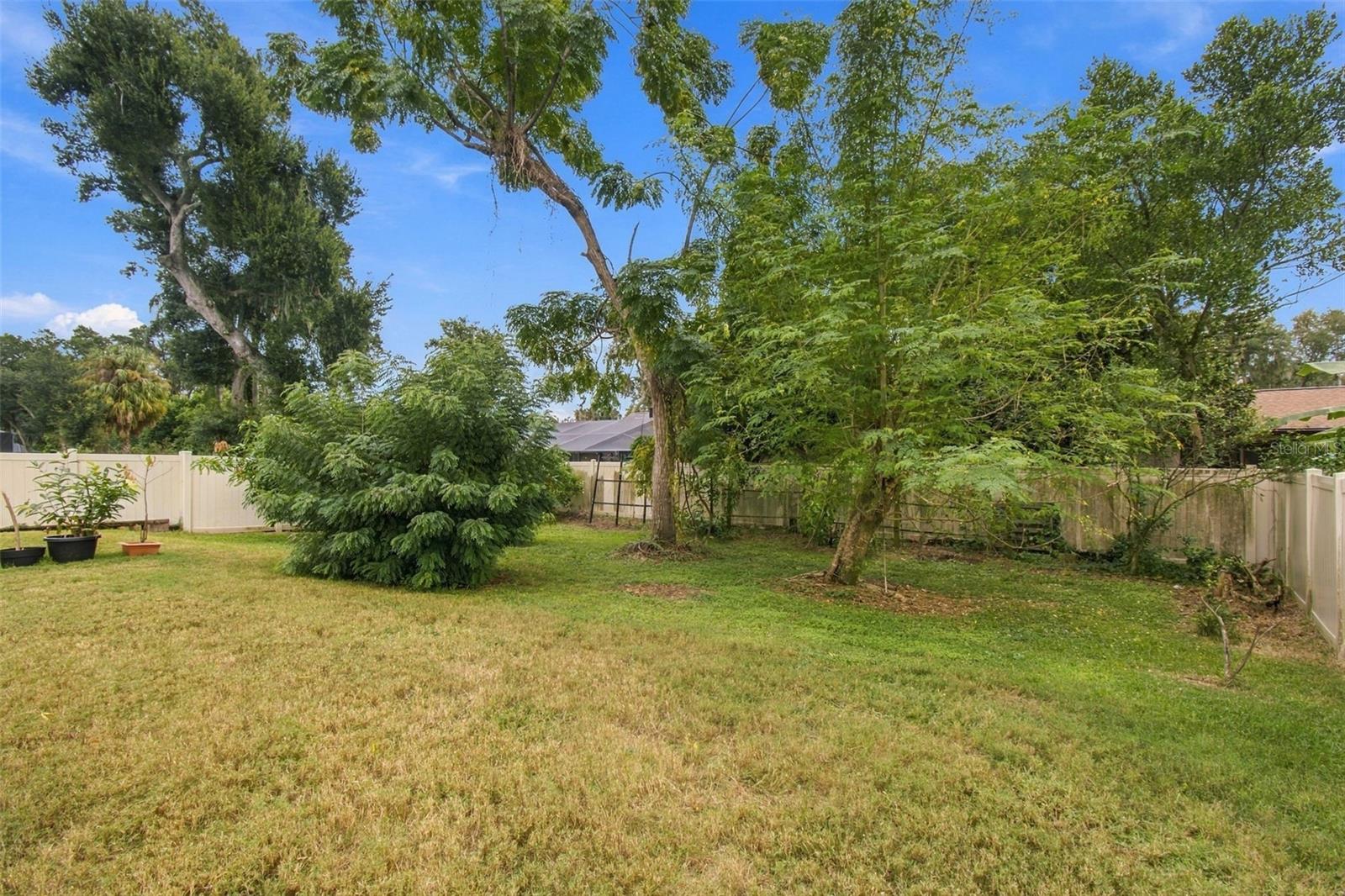 1015 TRACEY ANN LOOP