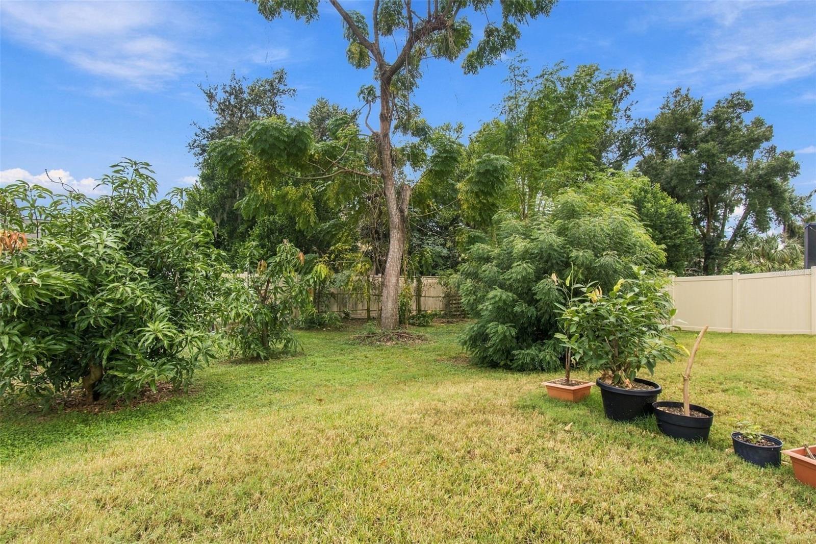1015 TRACEY ANN LOOP