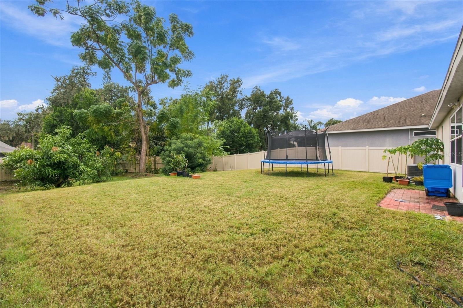 1015 TRACEY ANN LOOP