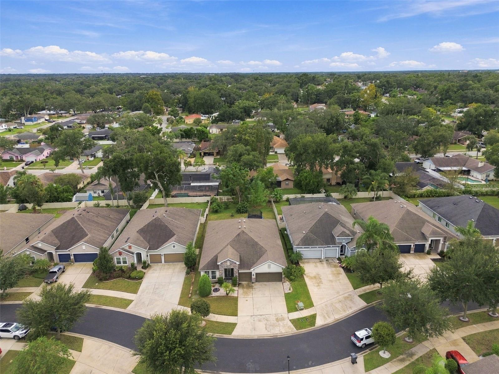1015 TRACEY ANN LOOP