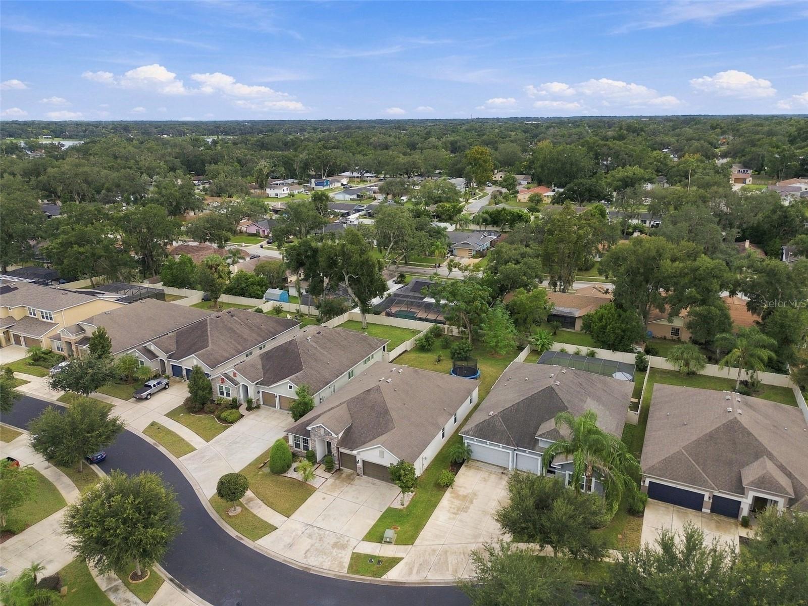 1015 TRACEY ANN LOOP
