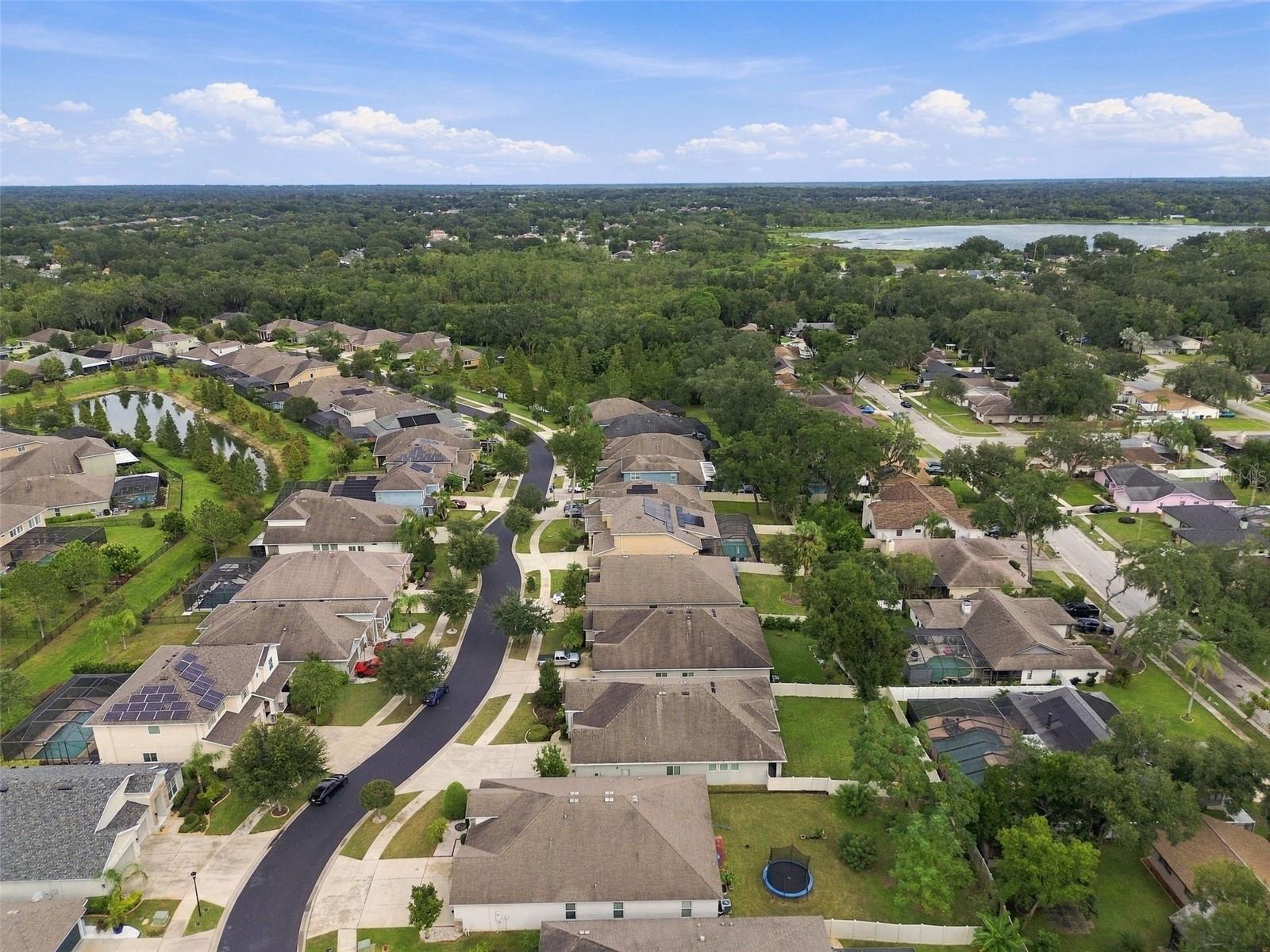 1015 TRACEY ANN LOOP