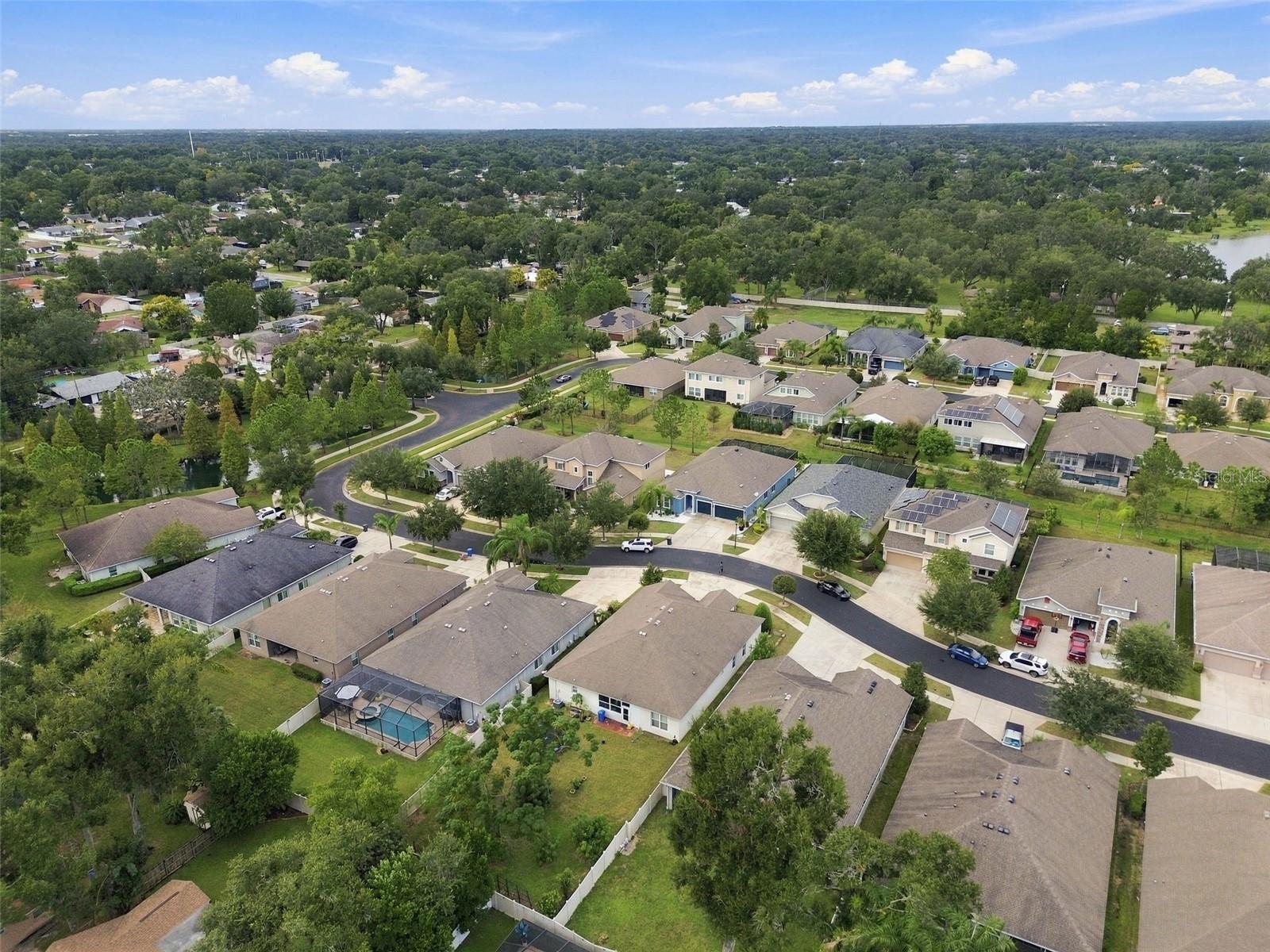 1015 TRACEY ANN LOOP