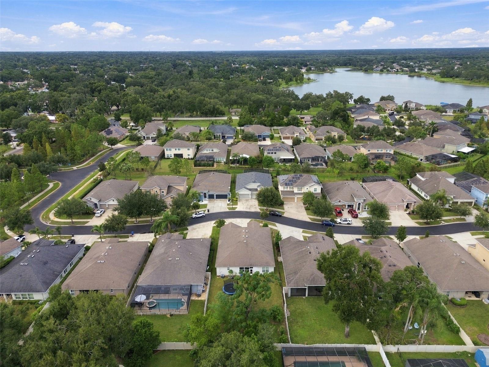 1015 TRACEY ANN LOOP