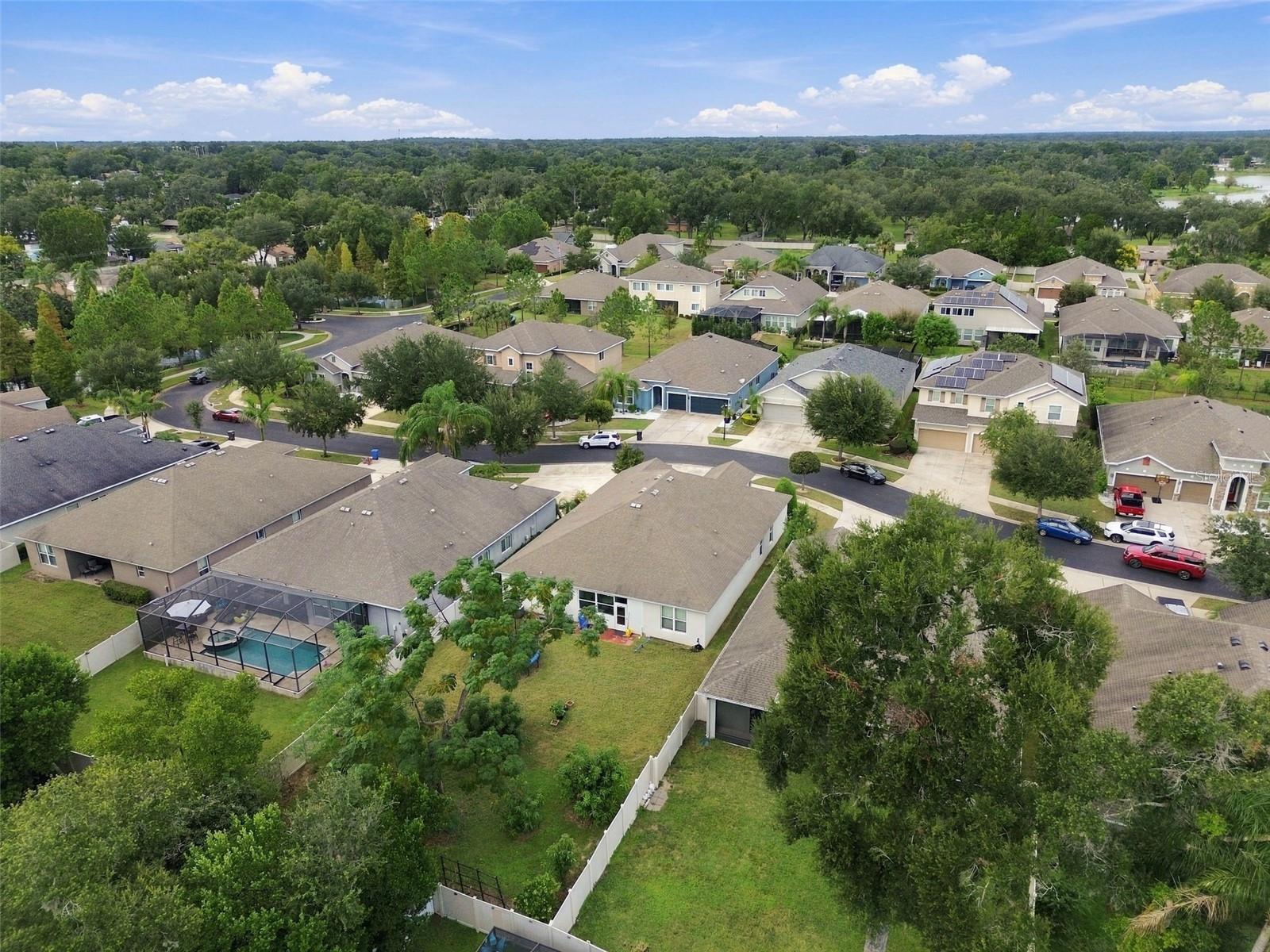 1015 TRACEY ANN LOOP
