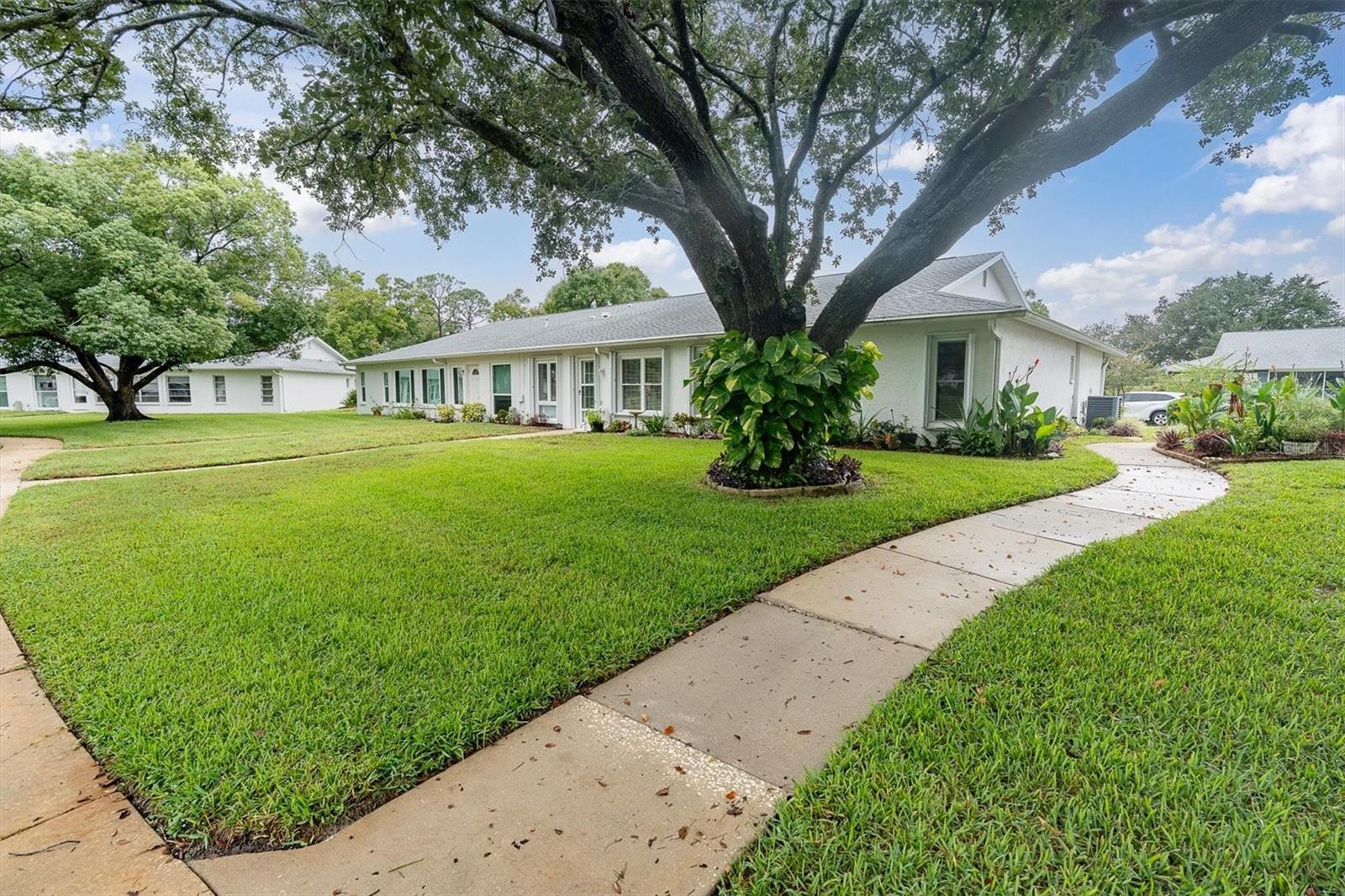 11120 SANDTRAP DR