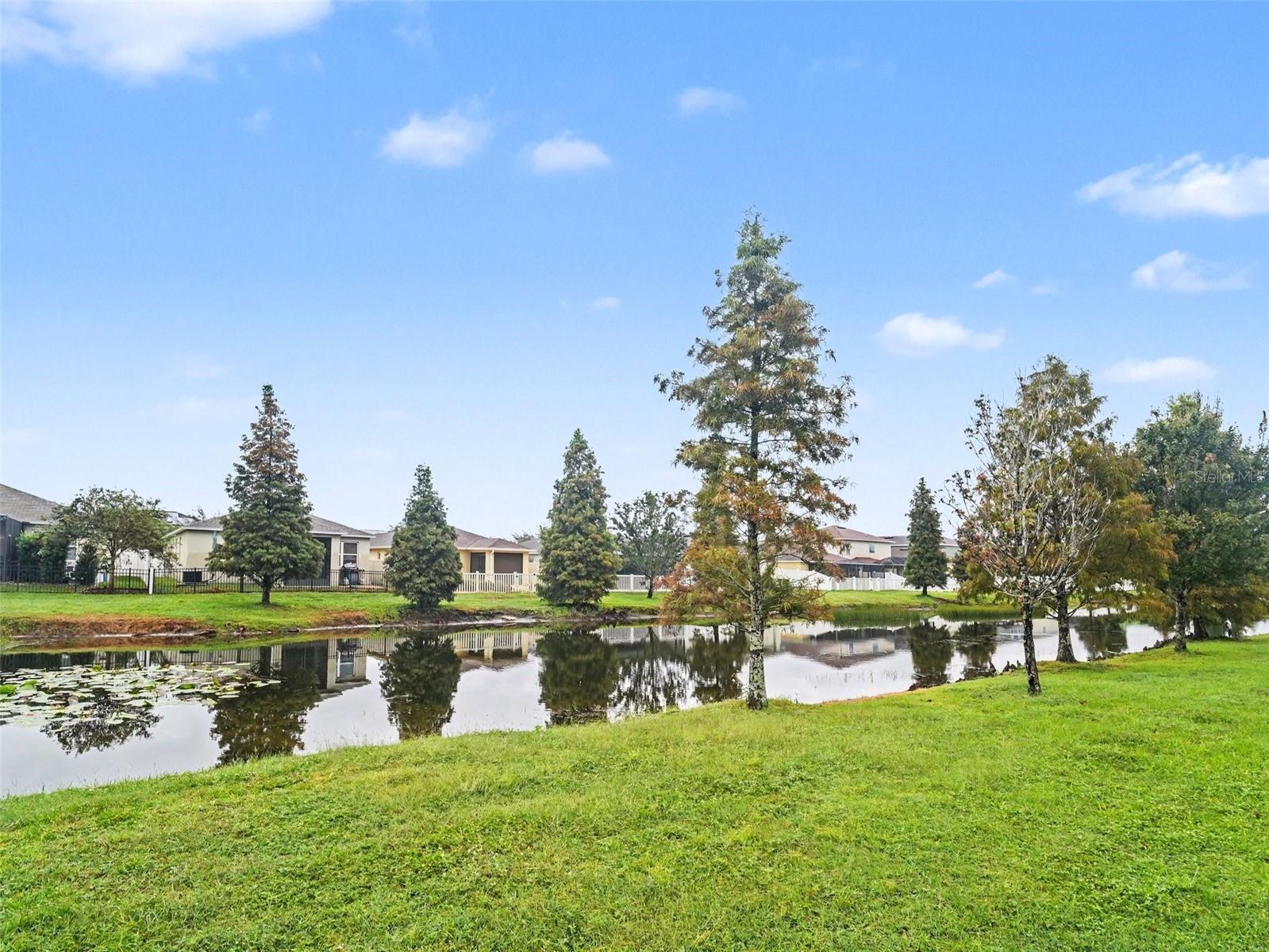 10439 LAGUNA PLAINS DR