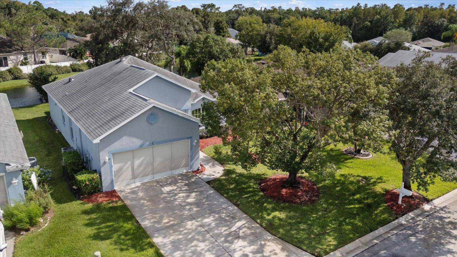 12128 LOBLOLLY PINE DR