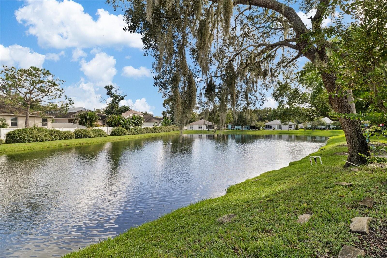 12128 LOBLOLLY PINE DR
