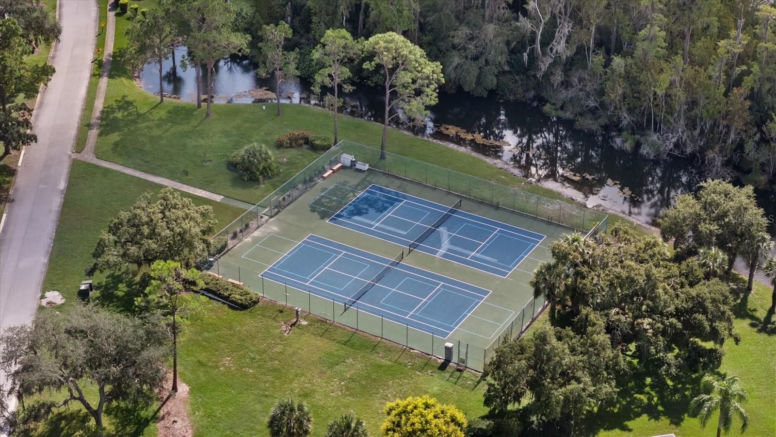 12128 LOBLOLLY PINE DR