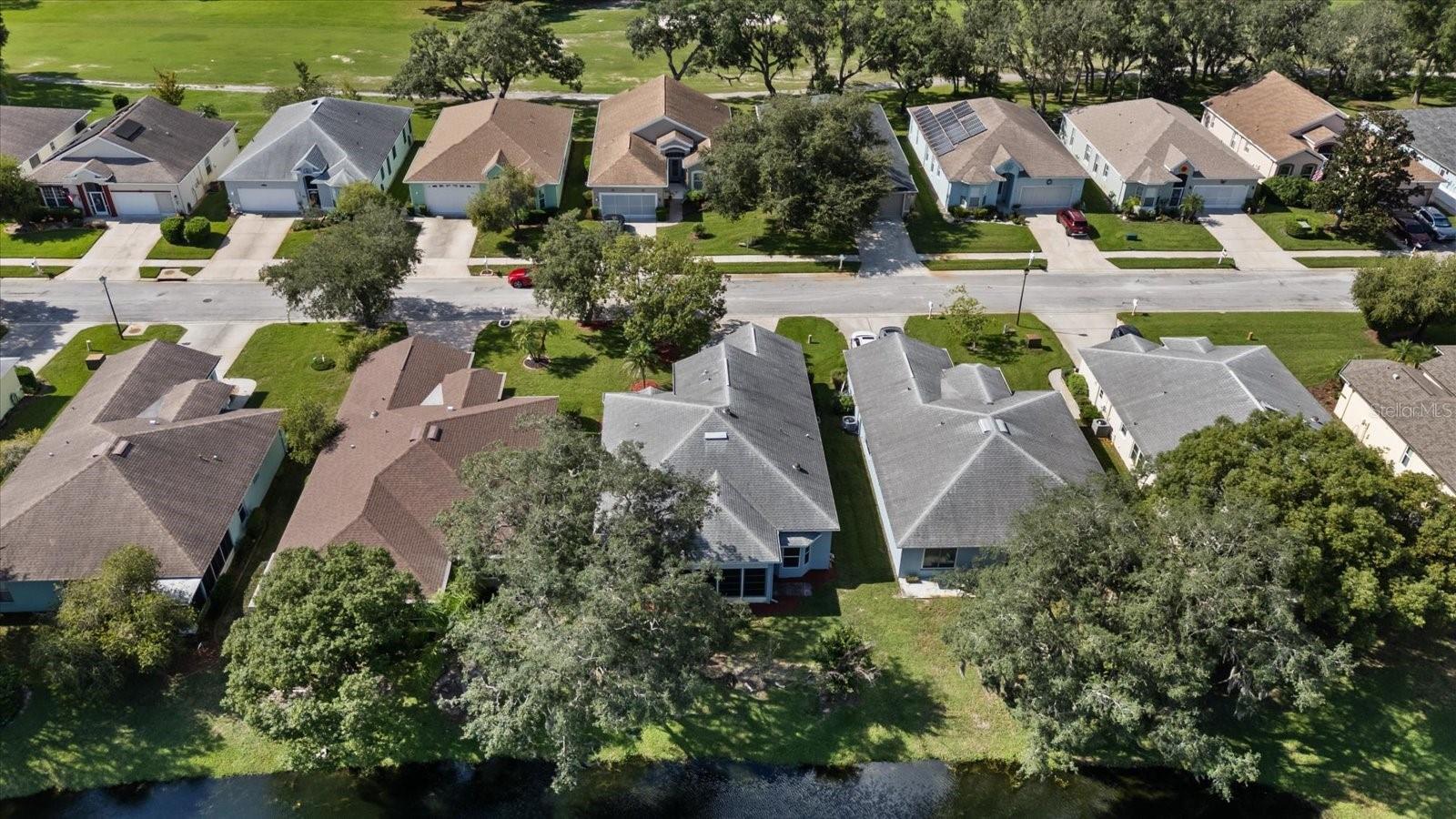 12128 LOBLOLLY PINE DR