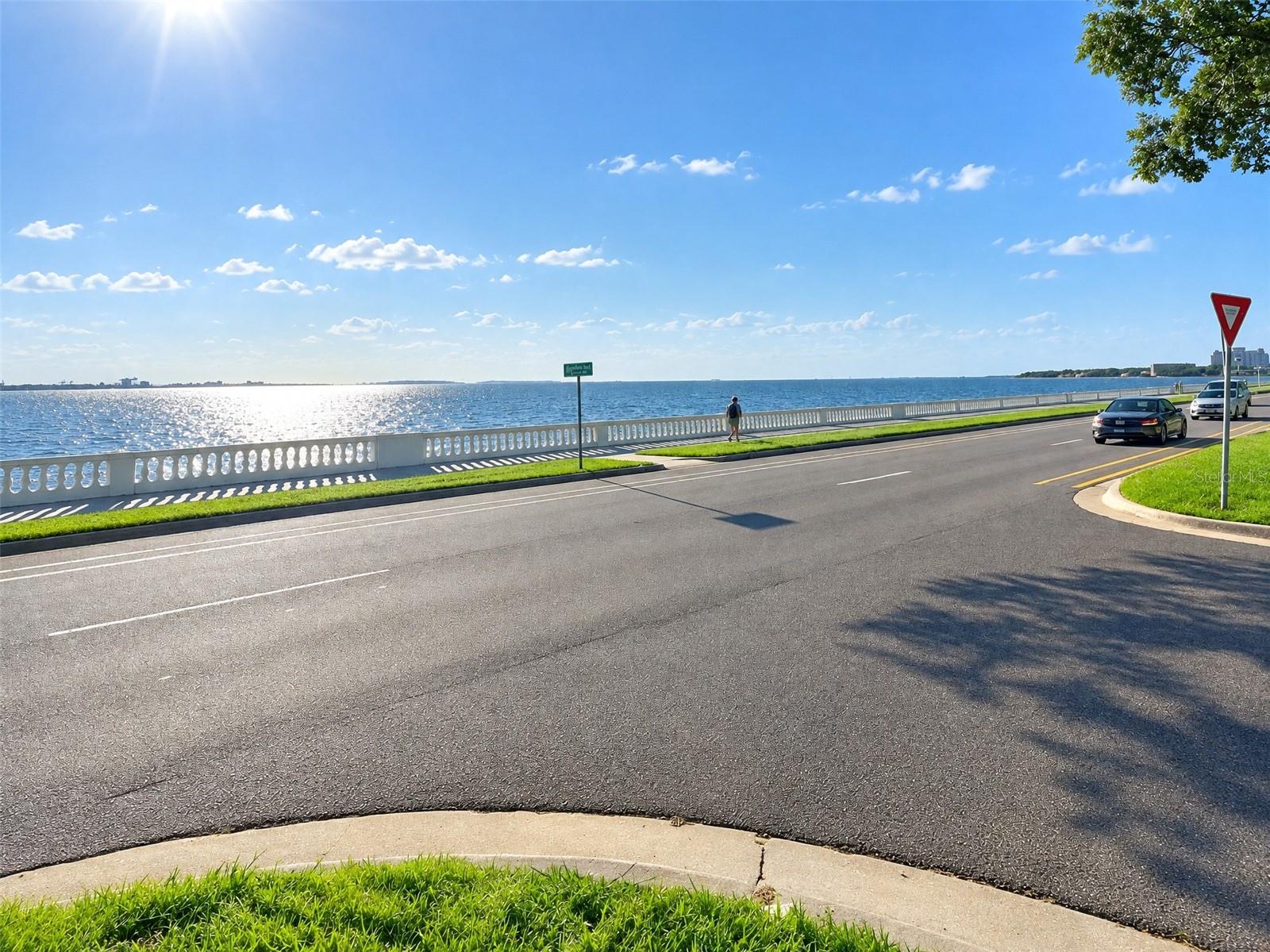 4015 BAYSHORE BLVD #11A