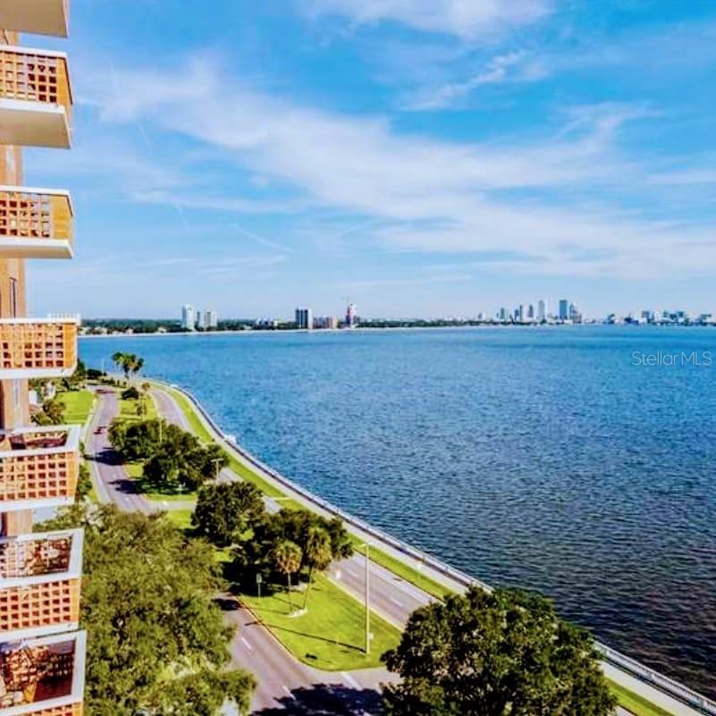 4015 BAYSHORE BLVD #11A