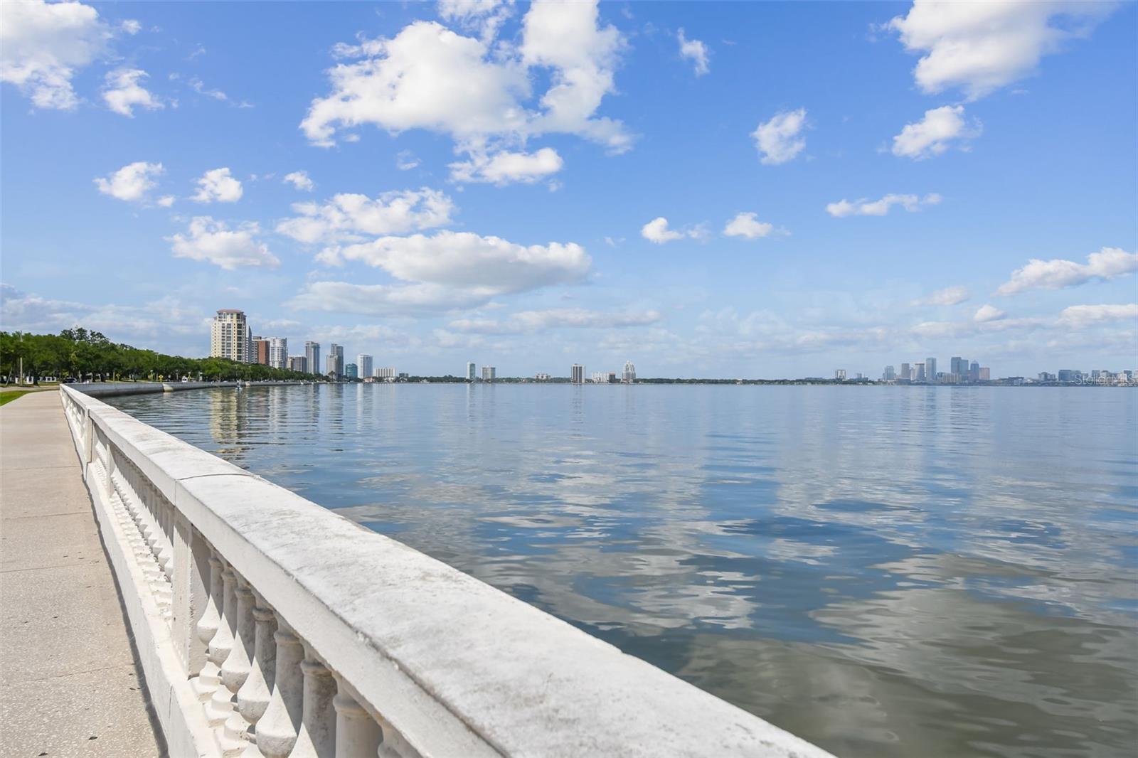 4015 BAYSHORE BLVD #11A