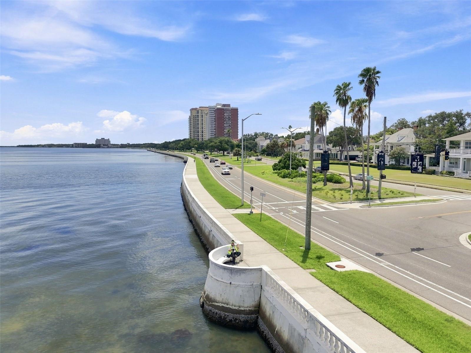 4015 BAYSHORE BLVD #11A