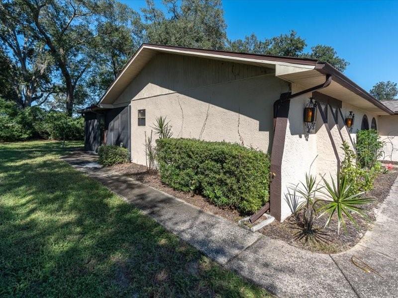 12805 PECAN TREE DR