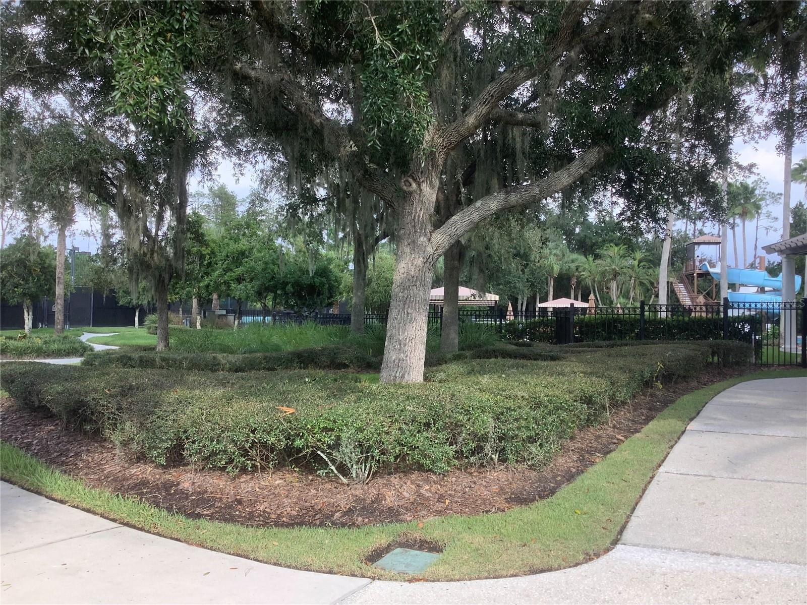27443 MISTFLOWER DR
