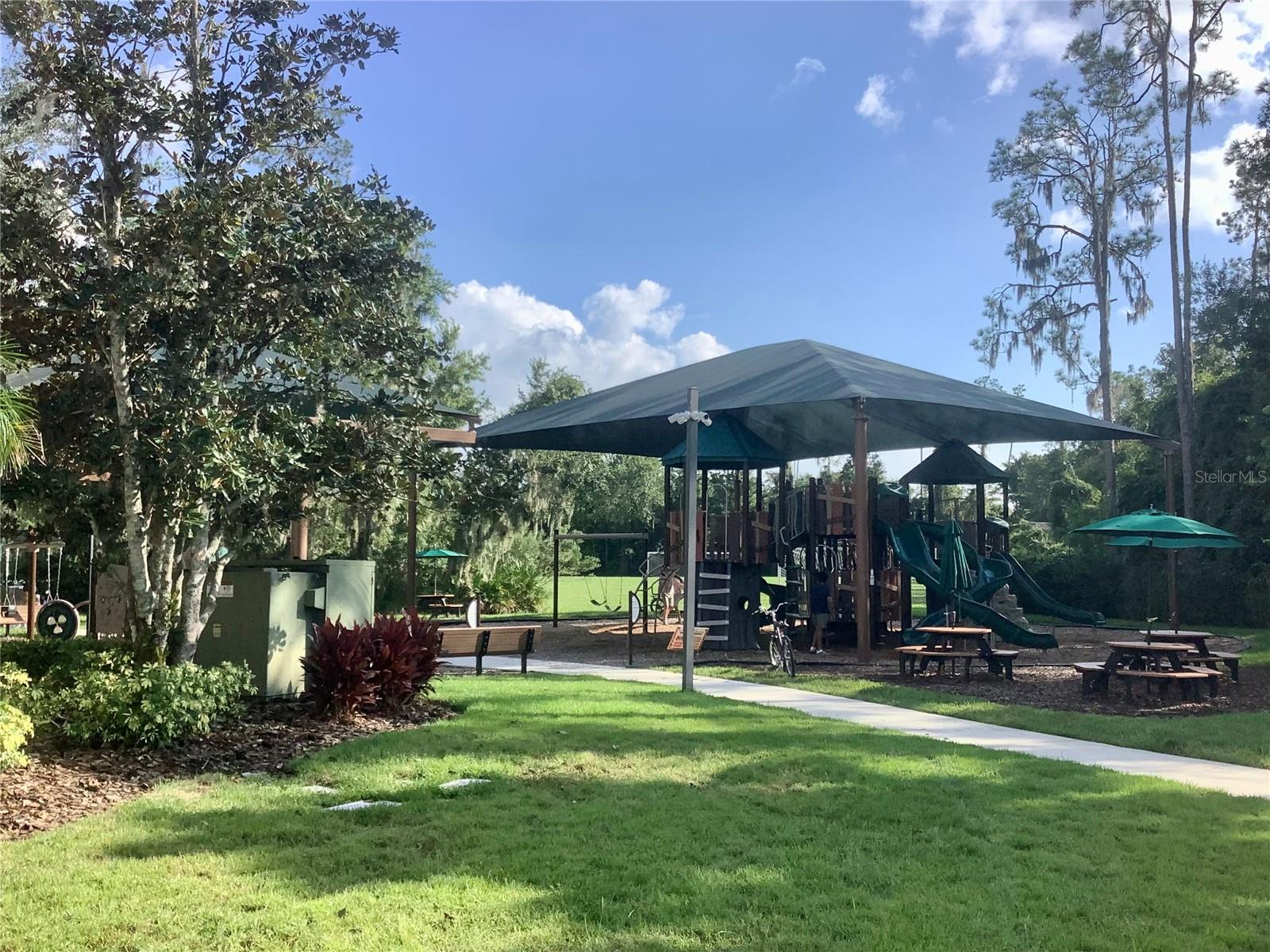 27443 MISTFLOWER DR