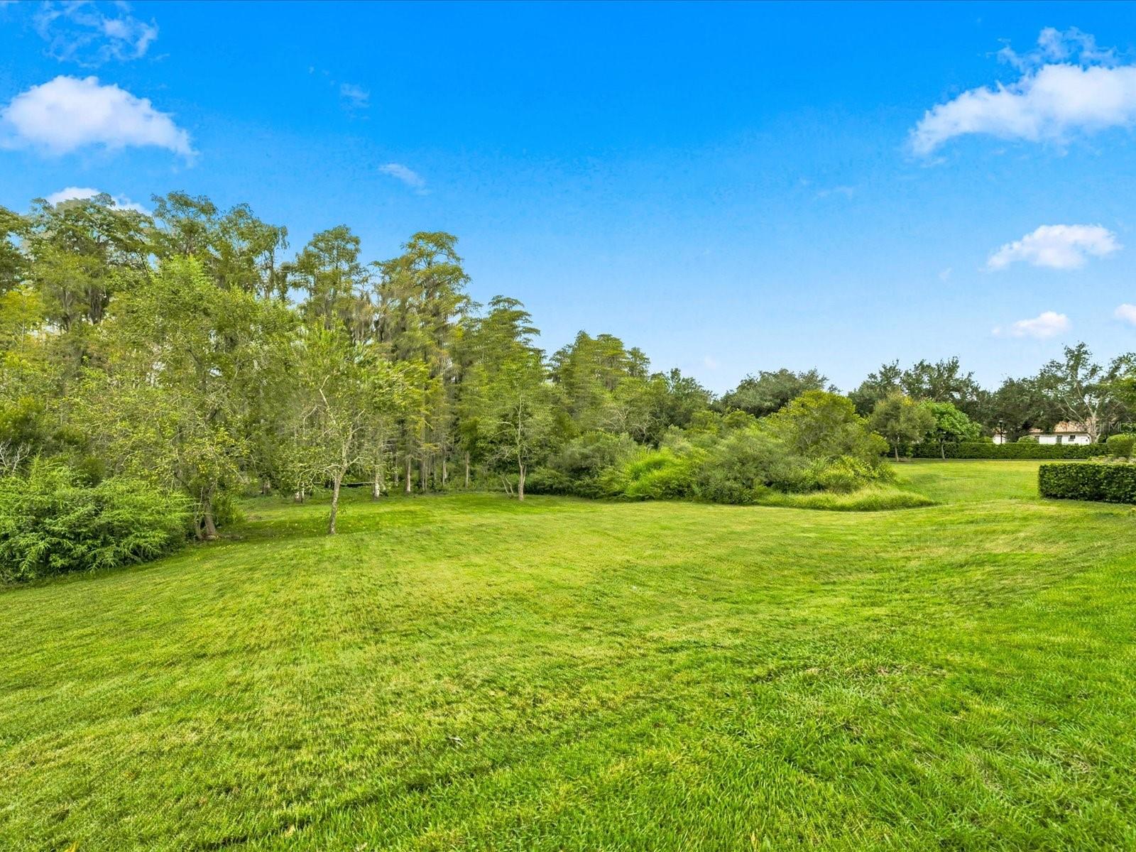 17314 SAN ARINGO PL