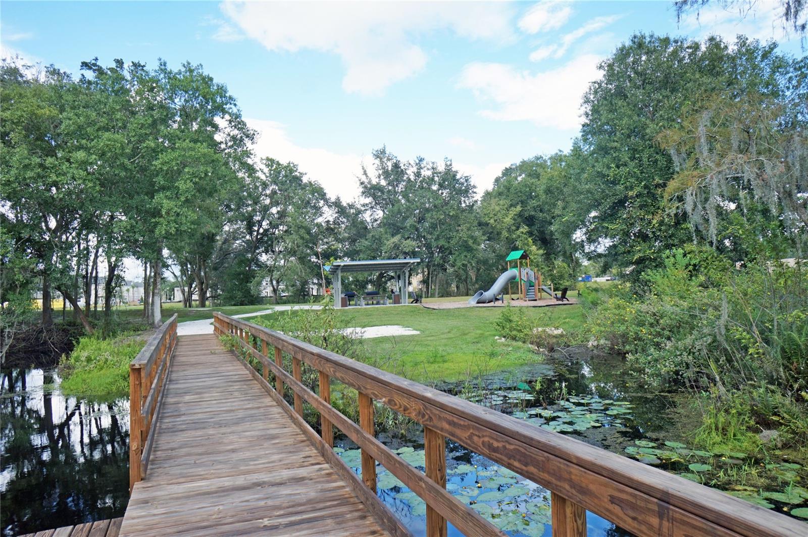 14243 DAMSELFLY DR