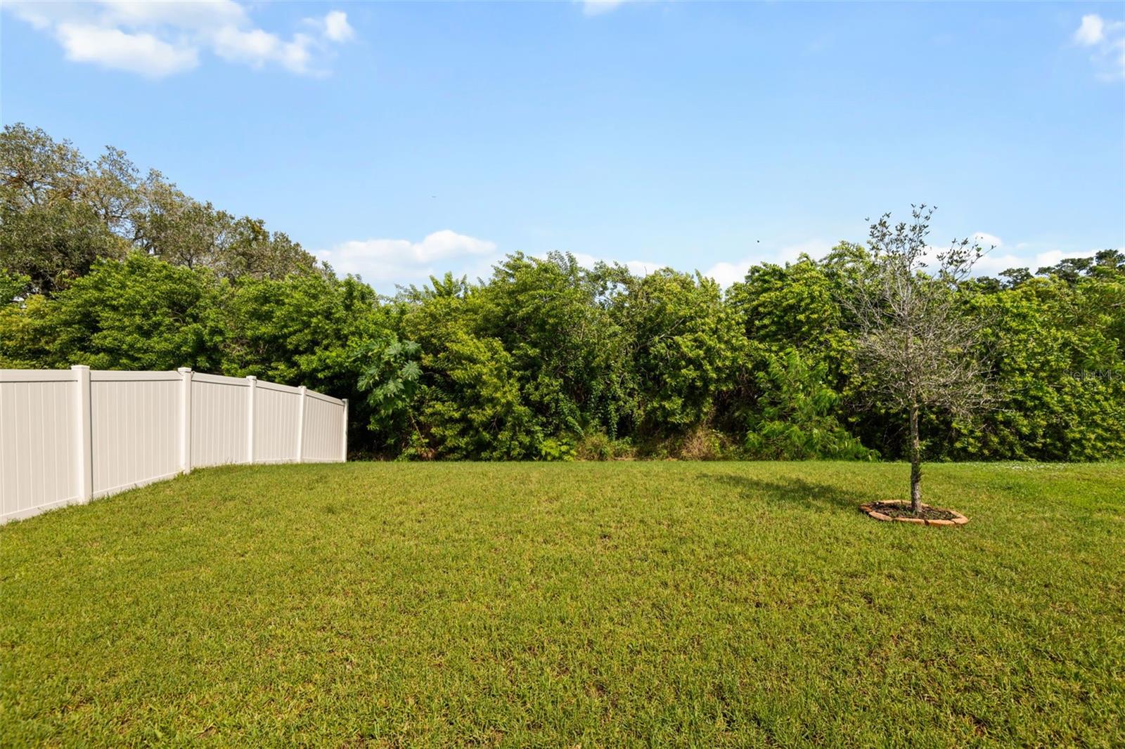509 ROYAL EMPRESS DR