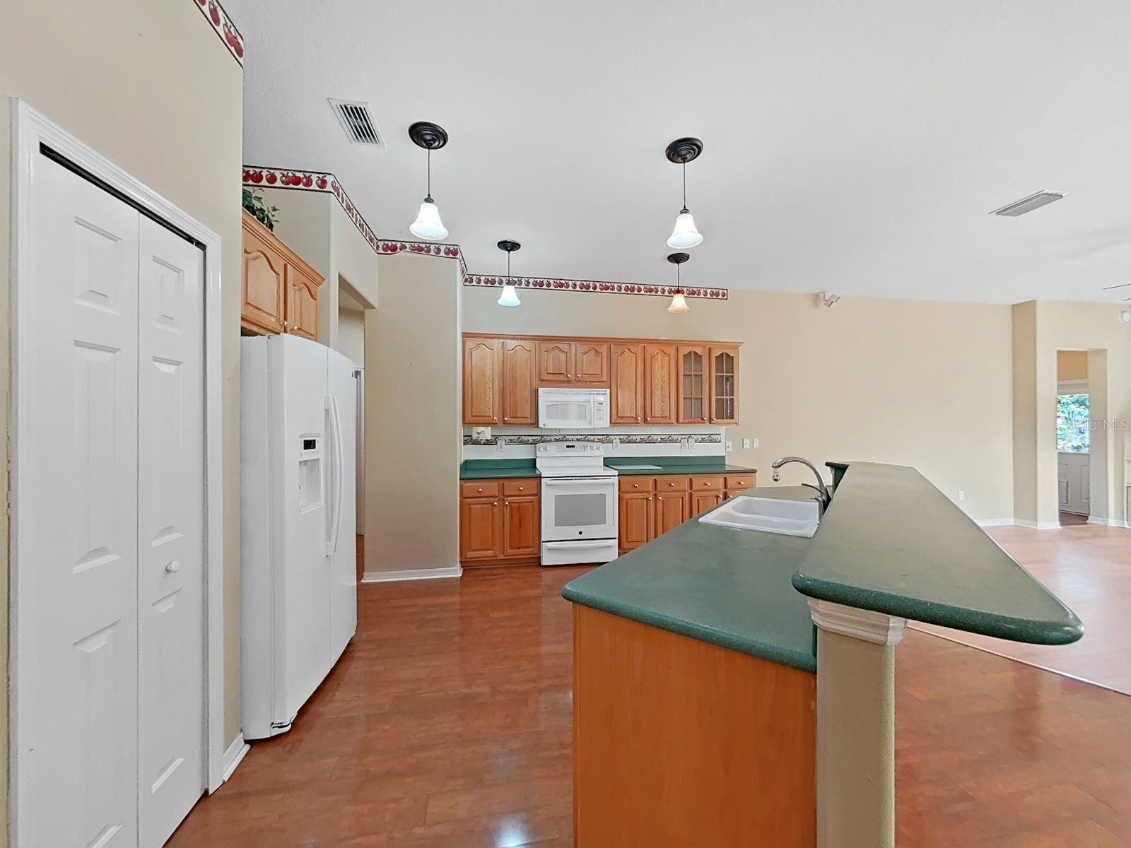 14915 DEVONSHIRE WOODS PL