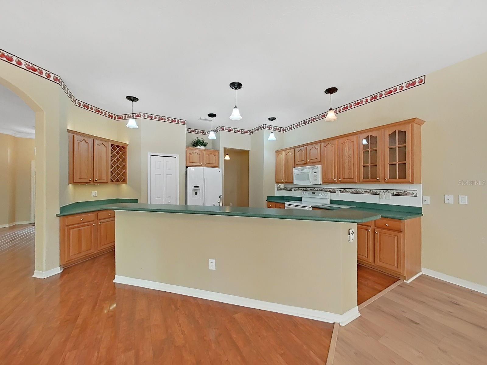 14915 DEVONSHIRE WOODS PL