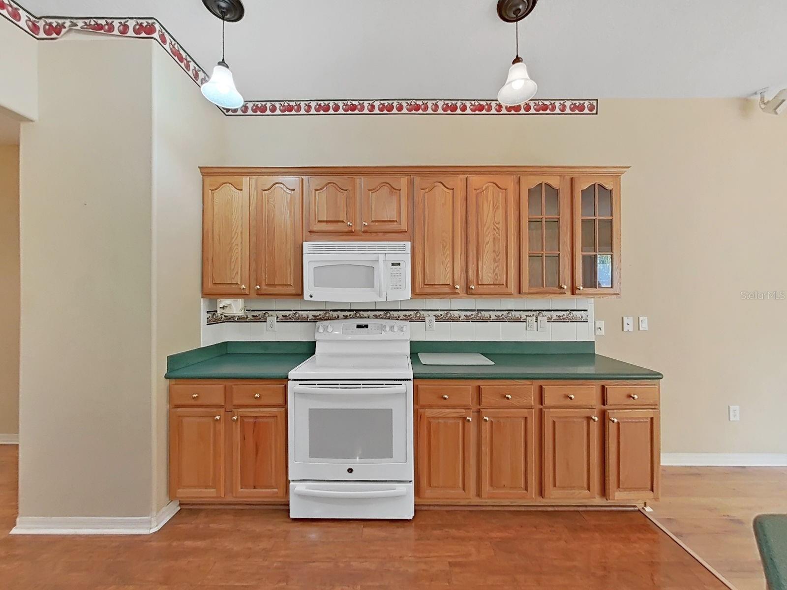 14915 DEVONSHIRE WOODS PL