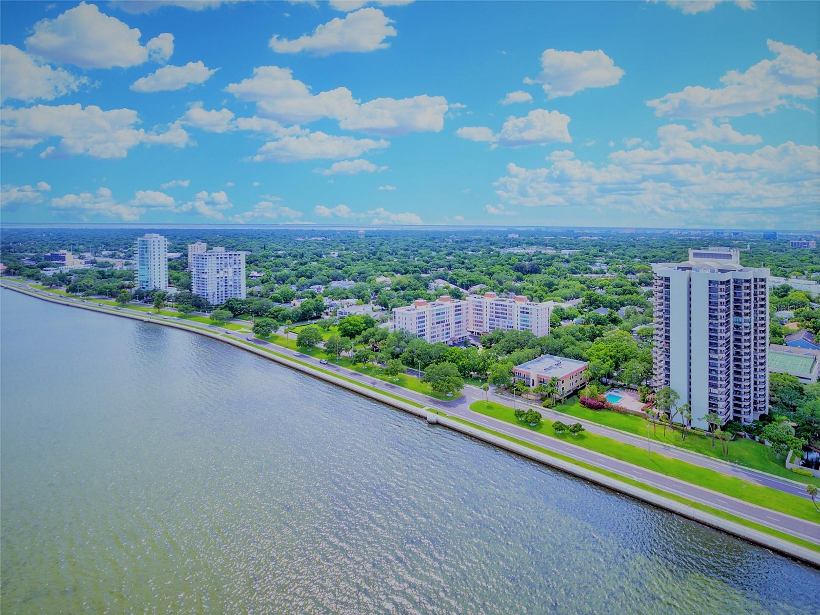 2419 BAYSHORE BLVD #2N