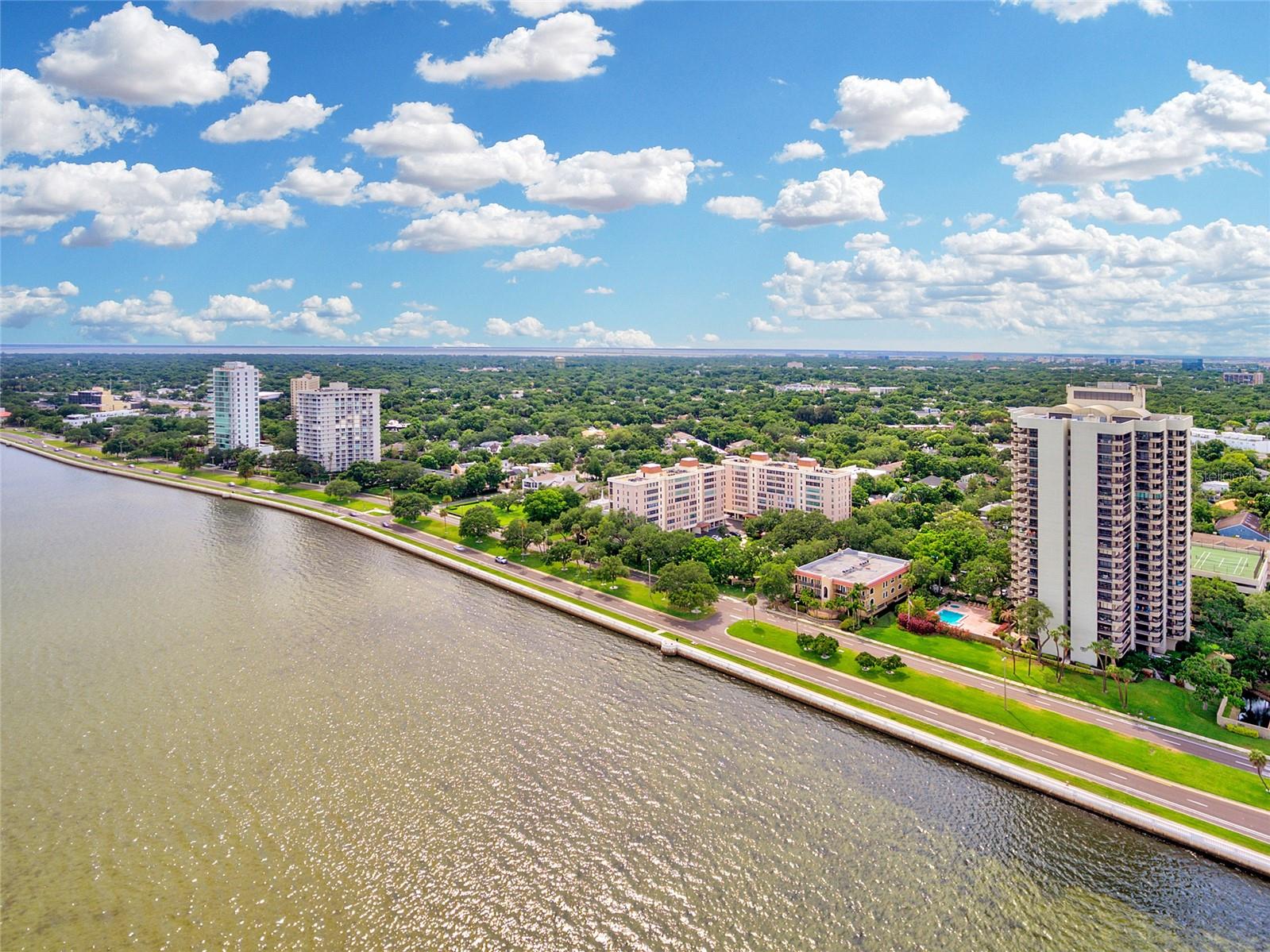 2419 BAYSHORE BLVD #2N
