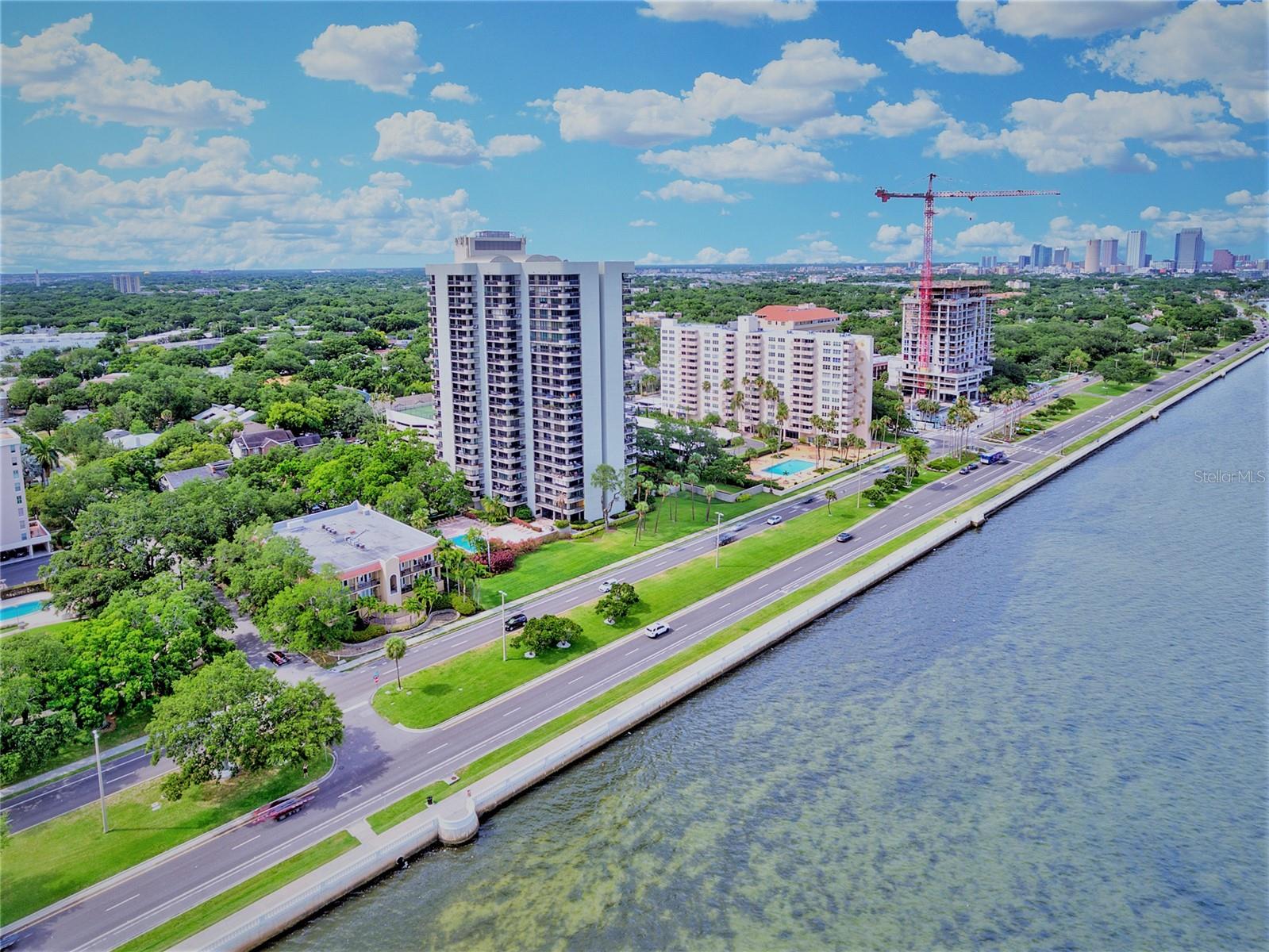 2419 BAYSHORE BLVD #2N
