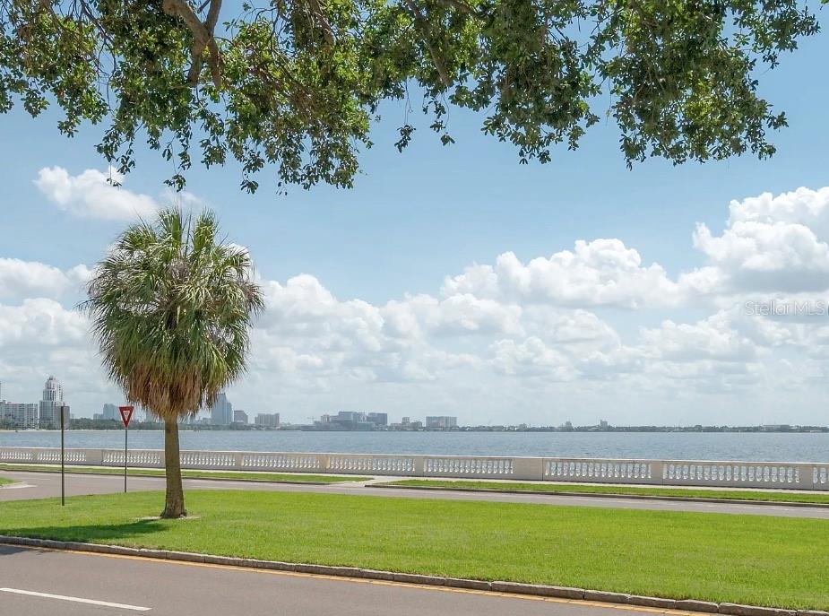 3325 BAYSHORE BLVD #F31