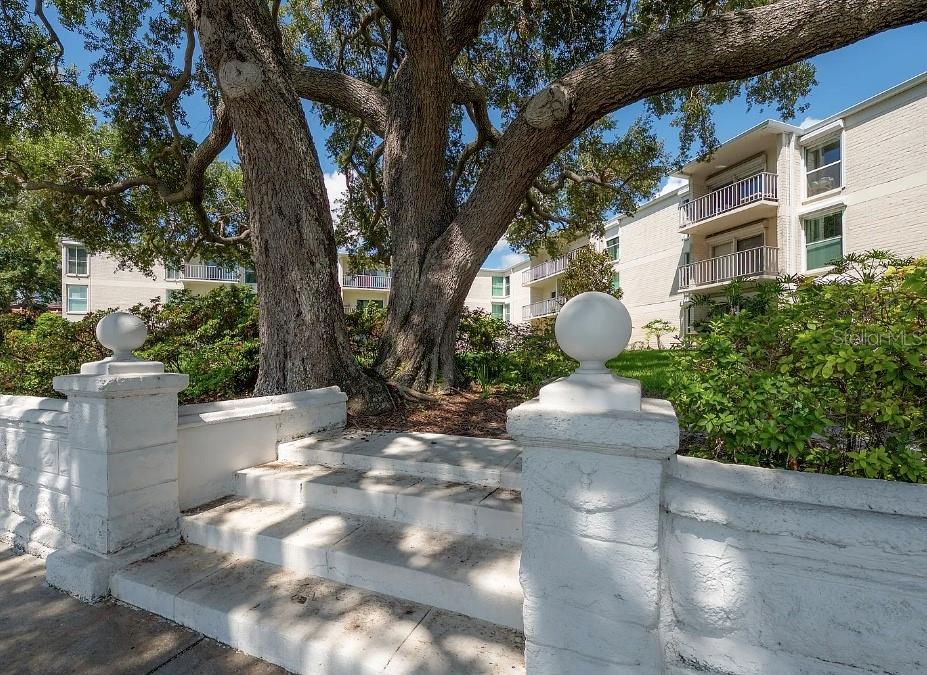 3325 BAYSHORE BLVD #F31