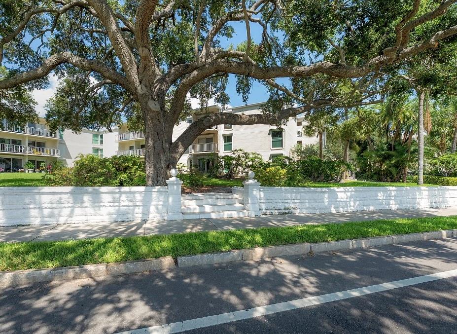 3325 BAYSHORE BLVD #F31