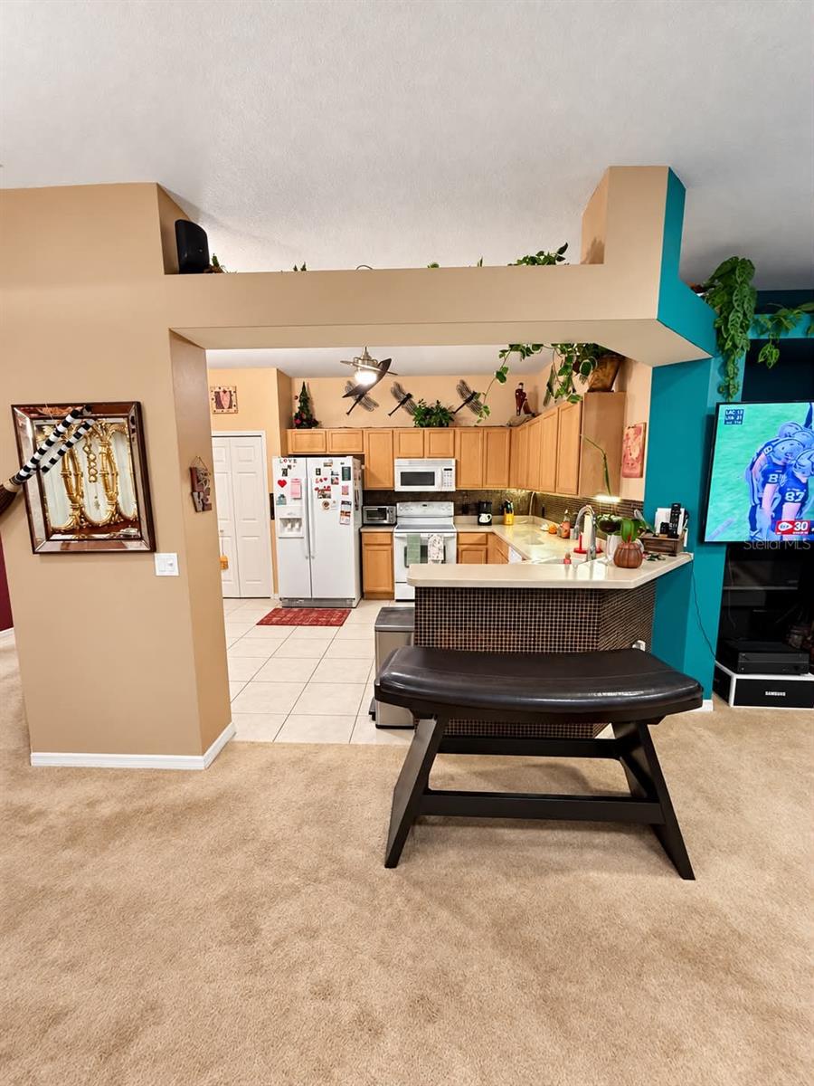 21129 DIAMONTE DR