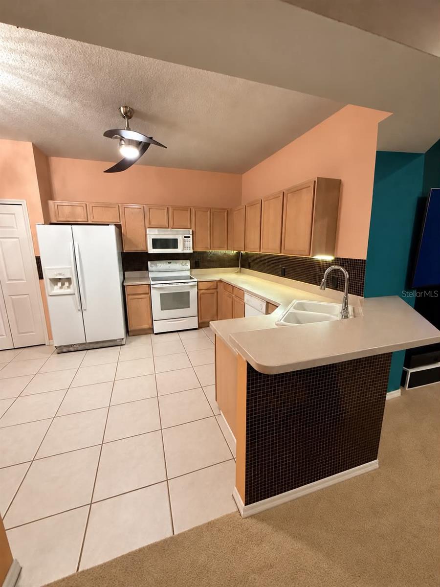 21129 DIAMONTE DR