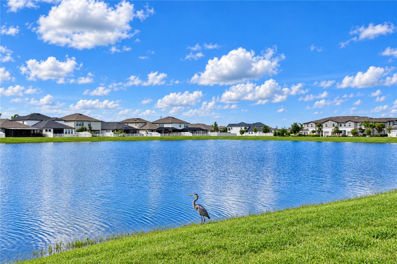 2741 YELLOWHAMMER WAY