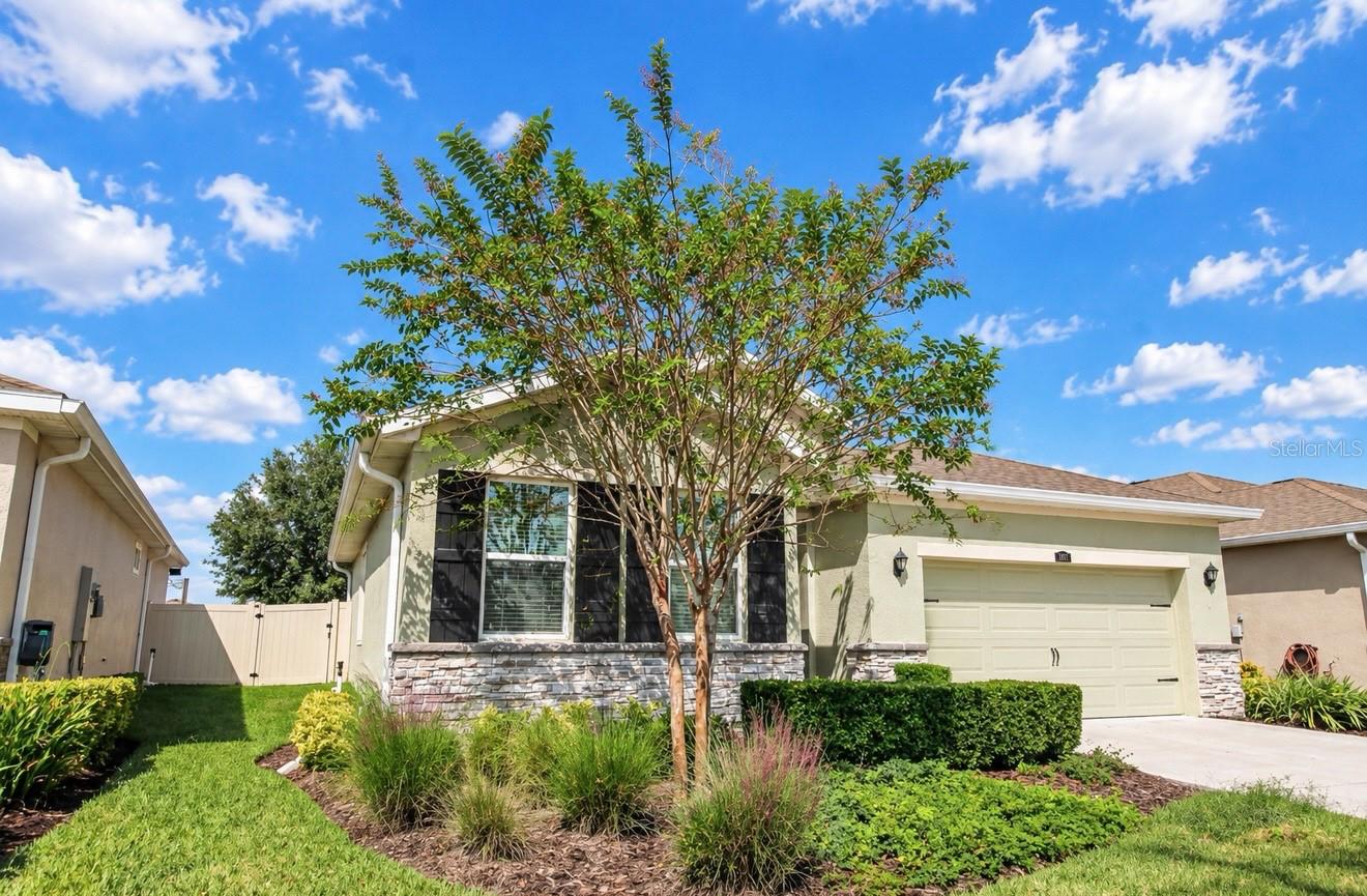 1143 PIPESTONE PL