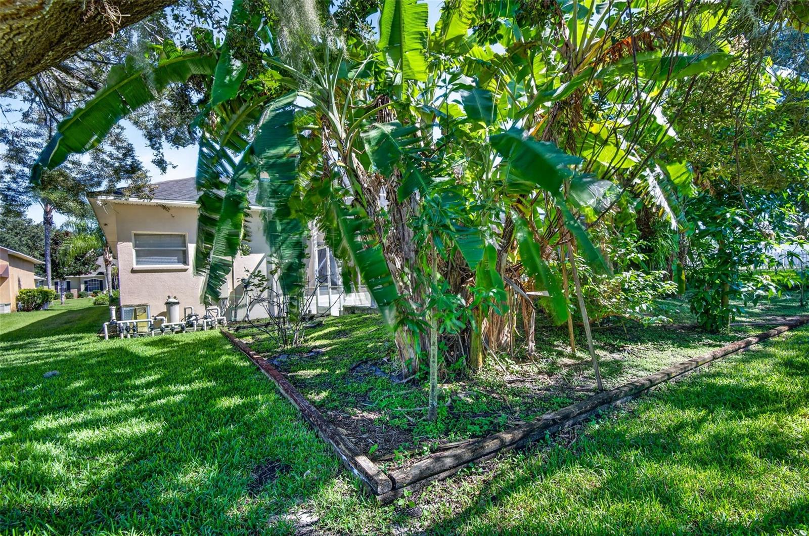 725 CITRUS WOOD LN