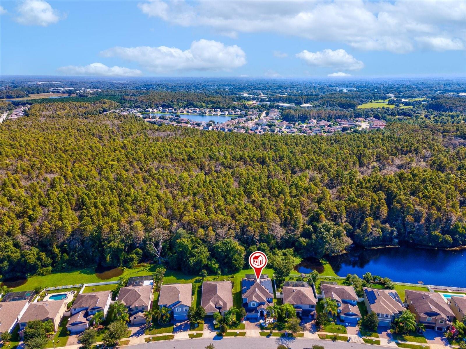 11695 CRESTRIDGE LOOP