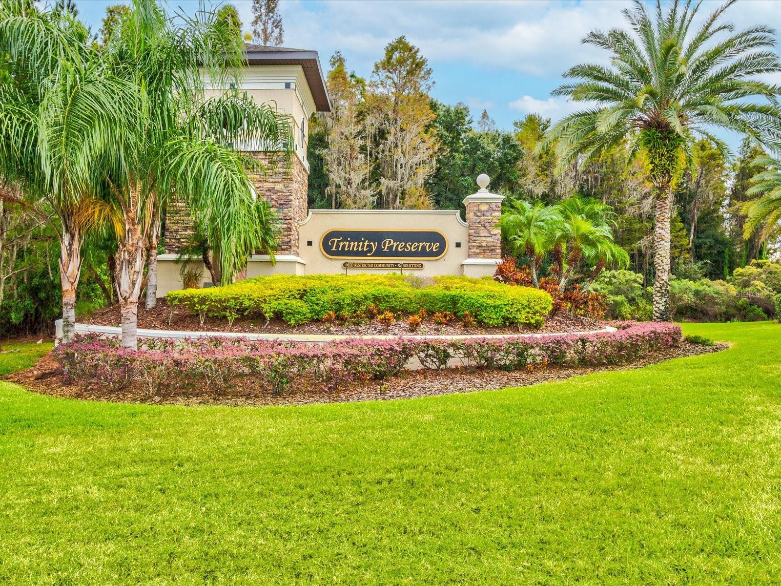 11695 CRESTRIDGE LOOP