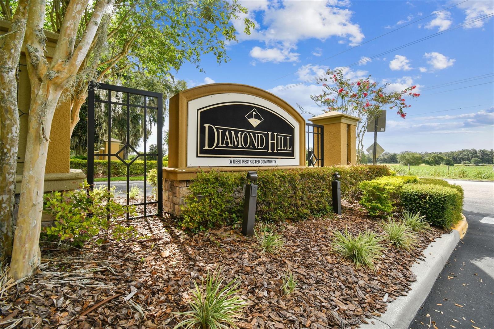 1519 BRILLIANT CUT WAY