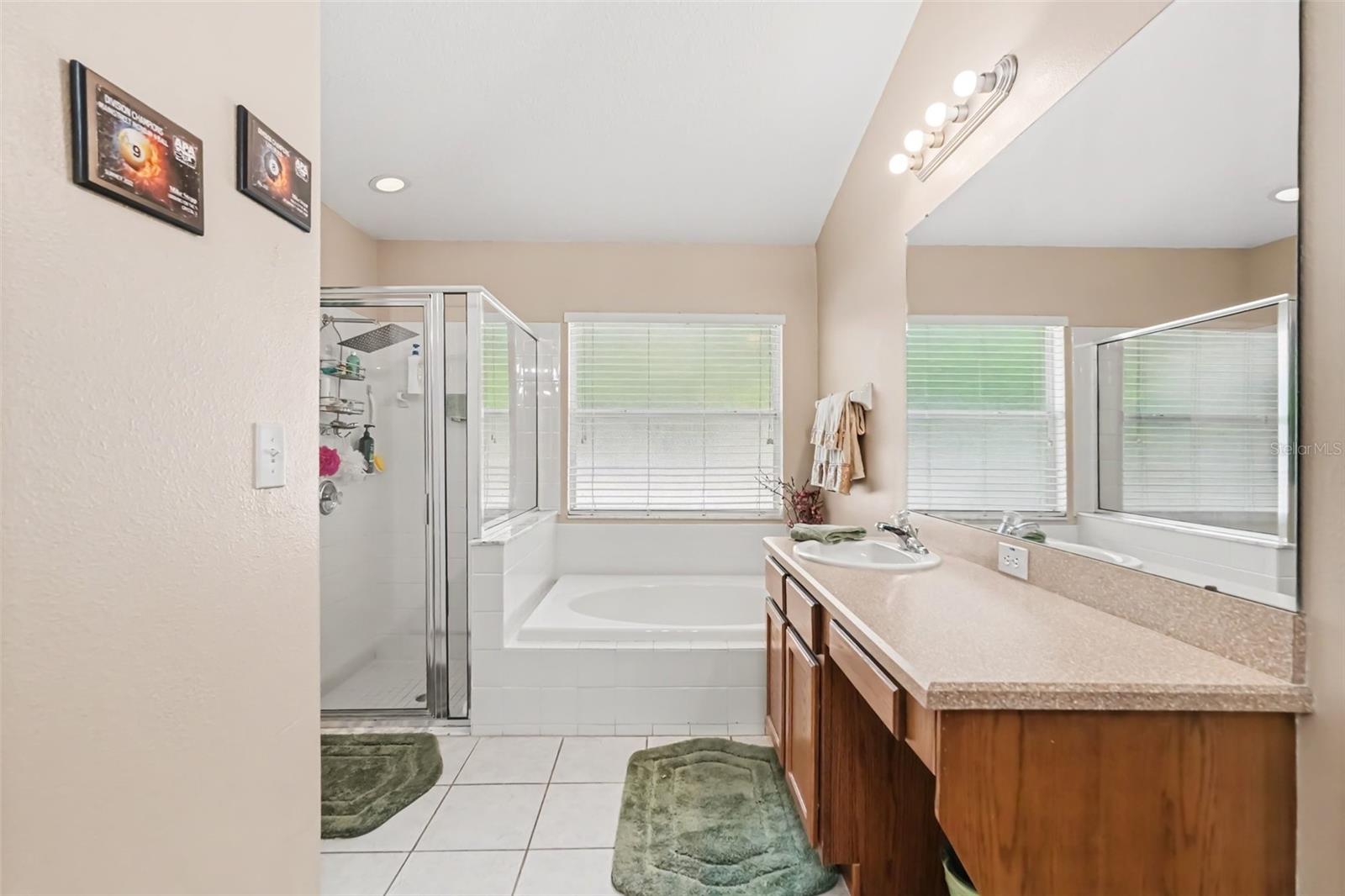 6805 BLUFF MEADOW CT